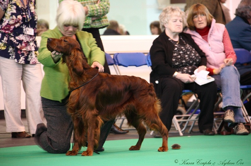 Crufts2011 191.jpg